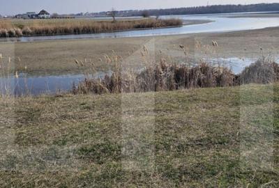 Teren de Vanzare - Lac Mogosoaia - 5