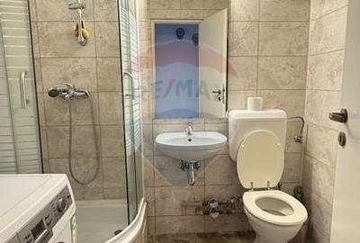 Apartament cu 3 camere semidecomandat în Alexandru Obregia - 16