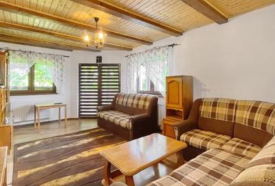 Complex de 3 case pe 18000 mp teren - 38