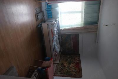 Casă cu Teren 2158 Mp în Comloșu Mare - 9