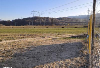 Teren de 2262 mp, în Central - 6