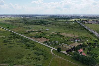 TERENURI PADUREA BISTRA - 2