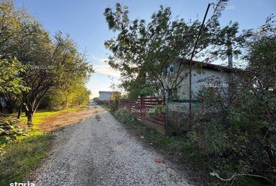 Teren de 243 mp, în Berceni