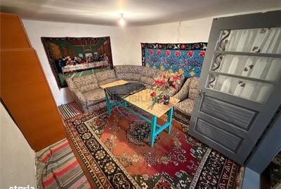 Casă cu 3 camere cu Teren 6856 Mp în Dumitrești - 7