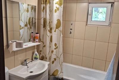 Inchiriere Apartament 2 Camere Renovat Piata Resita - 4