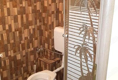 Cazare muncitori in dumbravita - 9