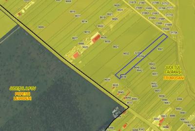 Teren de 7630 mp, în Frumușani - 3