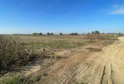 Teren de 2400 mp, în Șag - 3