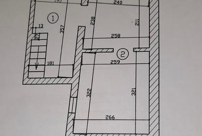 De inchiriat vila independenta pe Vasile Lascar la 5 min de Sos. Stefan cel Mare - 17