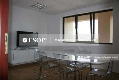 Spațiu comercial, de 150 mp, în Domenii - 6