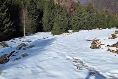 Teren de 300 mp, în Râu de Mori - 1