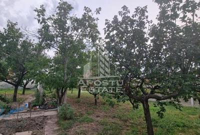 Casa individuala cu 5 camere in Giarmata - 10