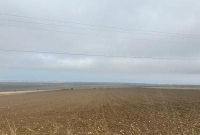 Teren Construcții intravilan de 693 mp, în Sărata (Sărata) - 2