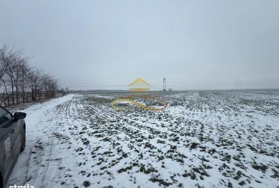 Teren de 13841 mp, în Zemeș - 3