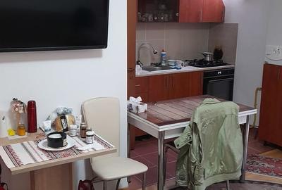 Apartament cu 2 camere semidecomandat în Bușteni - 9