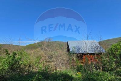 Teren de vis în Stejeriș – utilități, natură, acces rapid! - 8