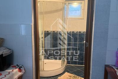 Casa individuala cu teren mare in Remetea Mare - 15