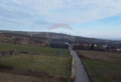 Teren agricol extravilan de 19375 mp, în Dâmbul Rotund - 4
