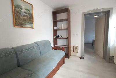Vanzare casa renovata cu 2 camere, baie si bucatarie si 100 mp teren in proprietate zona Domenii - 8