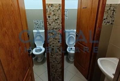 Constructie cu 3 apartamente + teren+ 2 spatii comerciale - 11