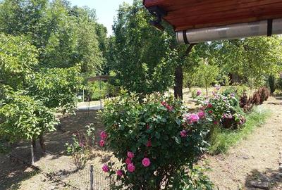 Casă individuală cu 4 camere cu Teren 1439 Mp în Vest - 22