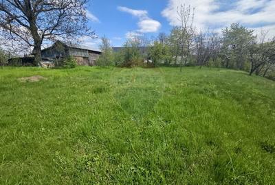 Teren Construcții intravilan de 4733 mp, în Drajna de Jos - 6