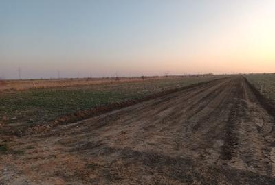 Teren Intravilan 469 mp, Utilitati la Lot, Rate Disponibile - 4