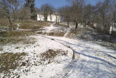 Teren de 5950 mp, în Scorțeni - 17