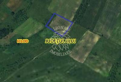 Teren agricol intravilan de 7800 mp, în Livada (Iclod) - 3