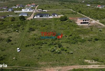 Teren de 585 mp, în Cetate - 5