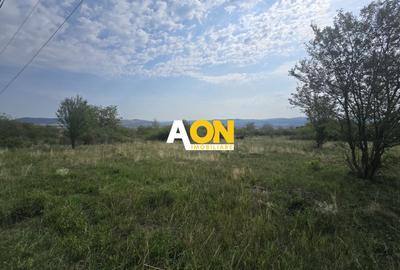 Teren Construcții intravilan de 510 mp, în Cetate - 1