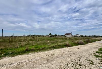 Teren intravilan Lumina, lac si canalul Dunare-Marea Neagra pentru investie - 5