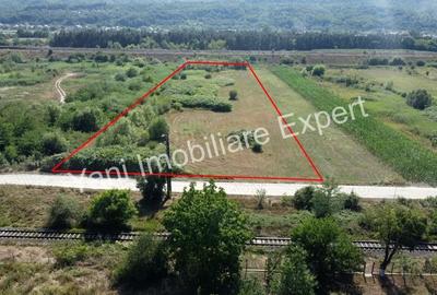 Teren de 8229 mp, în Băiculești - 6