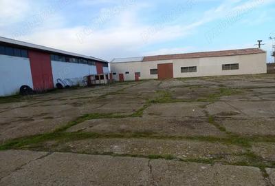 Spațiu comercial, de 950 mp, în Mangalia - 2