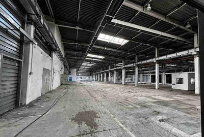 Spațiu industrial, de 20,702 mp, în Timișoara - 7