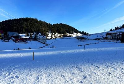 Teren intravilan 8400 mp, Fundata, zona Bran -  Moieciu - 10