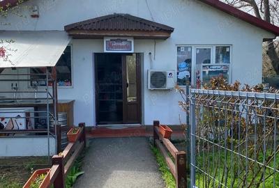 Spațiu comercial, de 280 mp, în Domnești - 7