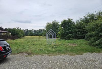 Moara, 7 ari teren rezidential - 3