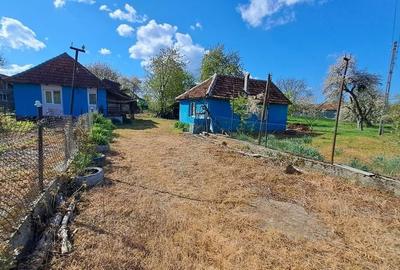 Casă cu 3 camere în Borod - 2