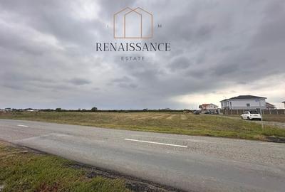 Mosnita Noua Teren 10.000mp | Front 63m | La asfalt - Zona de Case - 2