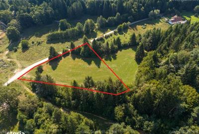 Spațiu comercial, în Vulcan - 17