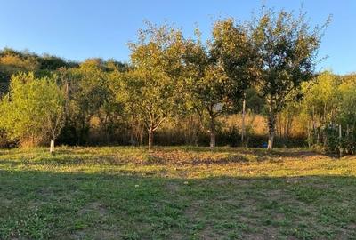 Casa de vanzare in Cartier DaVinci - 118 mp utili, teren generos de 640 mp Casa de vanzare in Cartier DaVinci - 118 mp utili, teren generos de 640 mp - 15