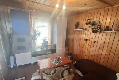 Cabana de lemn- Vatmani - 1