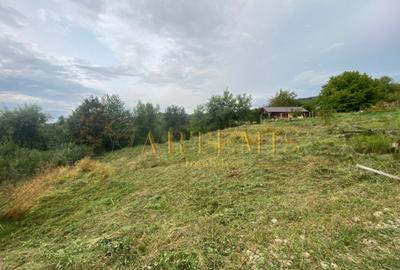Teren intravilan 1279 mp , Valea Budacului