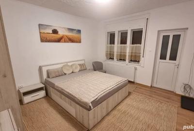 Ofer spre inchiriere ap 1 cam zona muzicescu alunis - 2