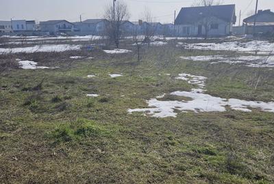 Teren de 400 mp, în Tunari - 4