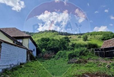 Casa saseasca tradi?ionala in inima Biertanului ... - 21