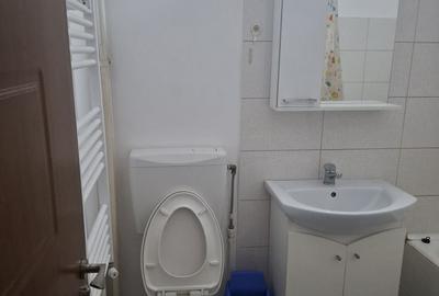 Garsonieră în Broșteni - 5