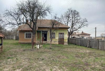 Casa de vanzare Casa de vanzare - 4