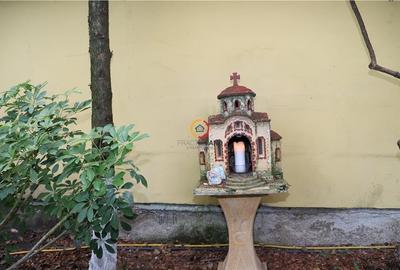 Vila  Oportunitate Unica - 4